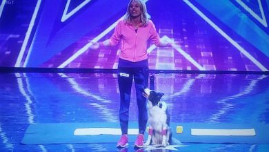 Photo of Video Christine a Italia’s got talent: la ginnastica canina