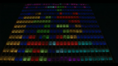 Photo of Germania: tetris con un palazzo (Video)