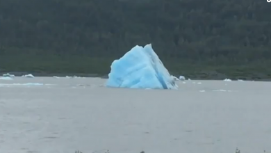 Photo of Iceberg si ribalta nel lago in Alaska (Video)