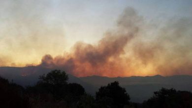 Photo of Incendi Roma e Lazio oggi 23 Agosto: Oltre 30 in corso