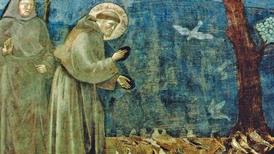 Photo of San Francesco d’Assisi: le poesie più belle