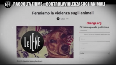 Photo of Petizione contro la violenza sugli animali: Dove firmare