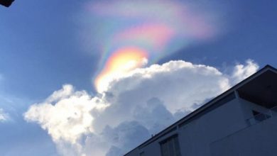 Photo of Arcobaleno di Fuoco a Singapore (Foto)