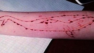 Photo of Blue Whale, le Regole del Gioco-Suicidio