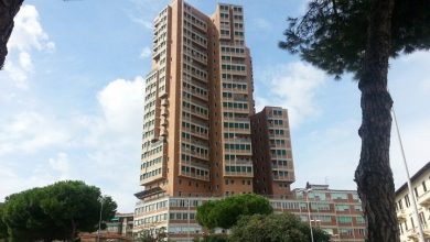 Photo of Blue Whale Livorno: Il caso descritto da Le Iene