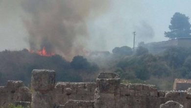 Photo of Incendio al Parco Archeologico di Himera a Palermo: Foto e Video