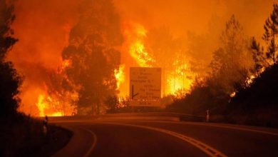 Photo of Incendio a Varese: abitanti in fuga a Campo dei Fiori