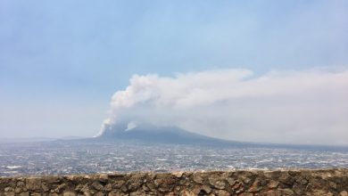 Photo of Incendio Vesuvio, arrestato il piromane