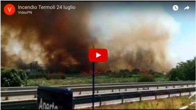 Photo of Incendio a Termoli, evacuato stabilimento FIAT e chiusa l’autostrada