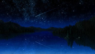 Photo of Meteore Orionidi: dove e come vedere la pioggia di meteoriti d’autunno