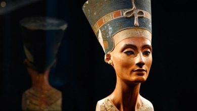 Photo of Tomba Nefertiti News: al via le ricerche