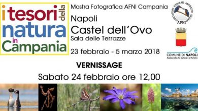 Photo of I tesori della natura in Campania, mostra fotografica a Napoli