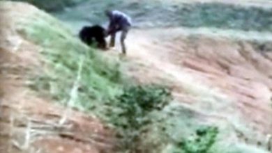 Photo of Uomo sbranato da un orso in India (Video)