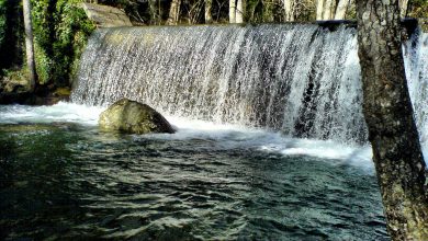 Photo of Escursionisti travolti dal torrente nel Parco del Pollino: 8 morti