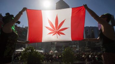 Photo of Canada, la marijuana diventa legale da oggi