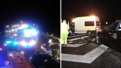 Photo of Incidente Autostrada A1, cinghiali sulla carreggiata: 1 morto e 10 feriti