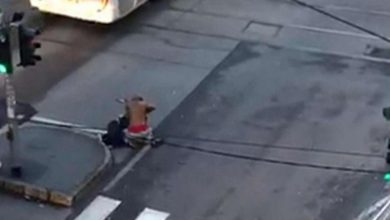 Photo of Uomo accoltellato in strada a Milano davanti ai passanti