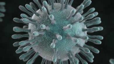 Photo of Virus in Cina, i sintomi della pandemia 2020