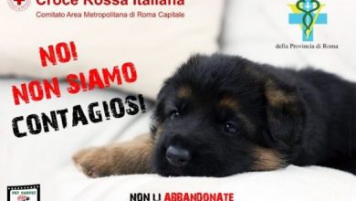 Photo of Coronavirus, Croce Rossa Italiana: ”Non abbandonate gli animali”