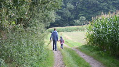 Photo of La circolare del Ministero su attività sportiva e passeggiate