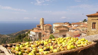 Photo of Coronavirus, possibile caso a Pollica: un’operatrice della farmacia a contatto con un cotagiato