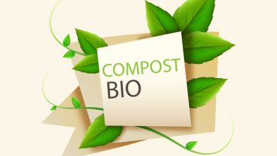 Photo of Biodegradabile vs compostabile: quali sono le differenze?